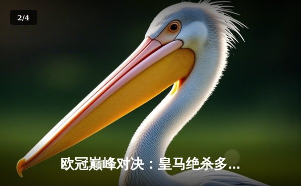 欧冠巅峰对决：皇马绝杀多特蒙德，贝林厄姆弑旧主闪耀温布利 - 2